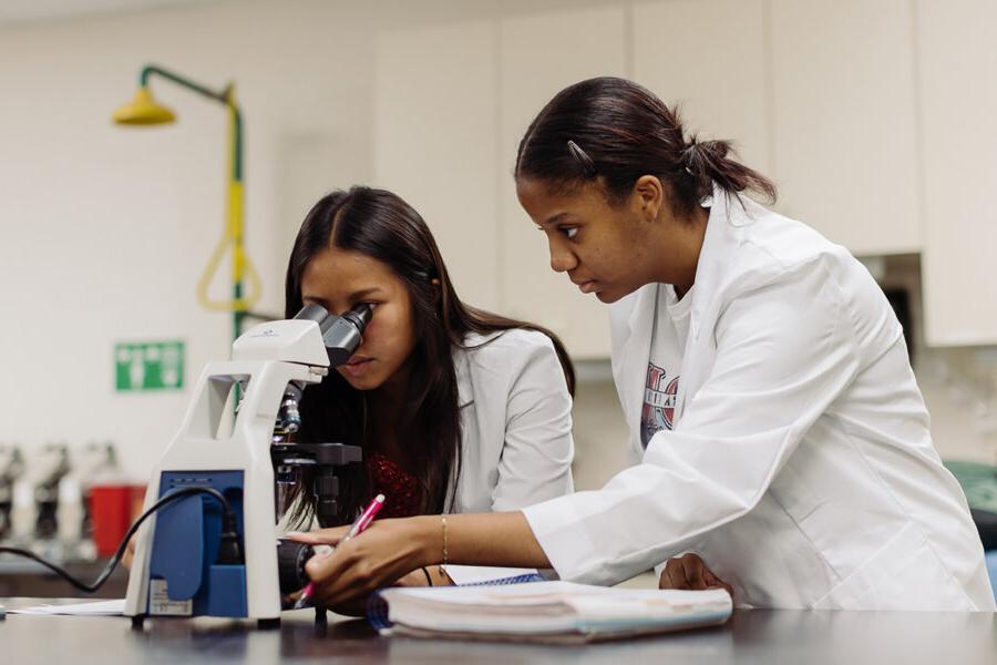 biology students in a laboratory looking into a microscope